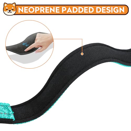 Reflective Dog Collar, Adjustable Soft Neoprene Padded Nylon Pet Collars with Buckle for Puppy and Small Dogs, Cats, Teal,XS - color: Teal, size: X-Small