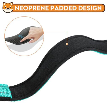 Reflective Dog Collar, Adjustable Soft Neoprene Padded Nylon Pet Collars with Buckle for Small Dogs, Teal,S - color: Teal, size: Small