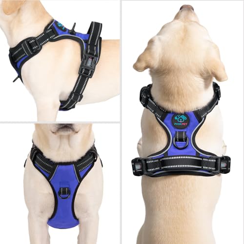 PHOEPET No Pull Dog Harnesses for Small Puppies Reflective Adjustable Front Clip Vest with 2 Metal Leash Attachment Hooks Soft Handle [Over The Head Design](S, Royal Blue) - color: Royal Blue, size: Small