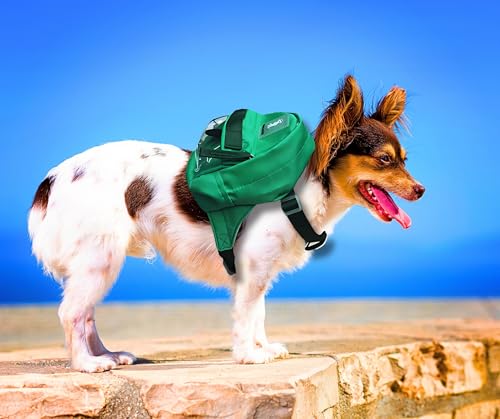 Dog Hiking Backpack Lightweight, Adjustable, and Waterproof Pet Poopbag Holder for Outdoor Adventures,Puppy Training School or Everyday Walks (Small) - size: Small