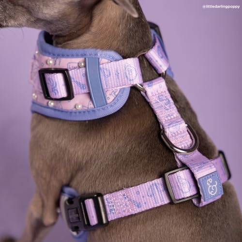 Lucy & Co. Magnificent Mermaids Pearl No-Pull Dog Harness, Adjustable Front Clip Harness with Comfort Padding, X-Large - color: Magnificent Mermaid, size: X-Large