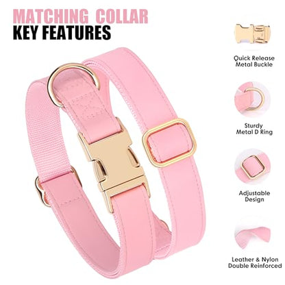 PET ARTIST Soft PU Leather Dog Collar, Bright & Classic Pink Dog Collar with Quick Release Rose Metal Buckle, Adjustable Nylon Padded Durable Pet Collars for Medium Dogs Girl, Neck Fit 13-19" - color: Pink, size: M: Fit 13-19" Neck(20-55 lbs)