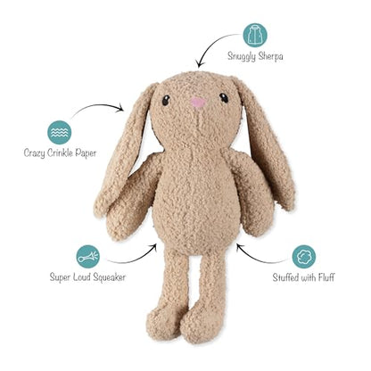 Fringe Studio Large Plush Dog Toy, Hoppy to See You, 19" Tall x 13" Wide, Pet Shop Collection (728034) - color: Hoppy To See You