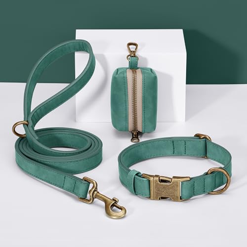 Didog Stylish Dog Poop Bag Holder for Leash, Easy-Pull and Colorful PU Leather Dog Poop Bag Dispenser with Metal Clip, Includes 1 Roll Pet Waste Bag for Daily Walking,Green - color: Green