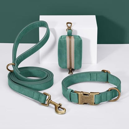 Didog Stylish Dog Poop Bag Holder for Leash, Easy-Pull and Colorful PU Leather Dog Poop Bag Dispenser with Metal Clip, Includes 1 Roll Pet Waste Bag for Daily Walking,Green - color: Green