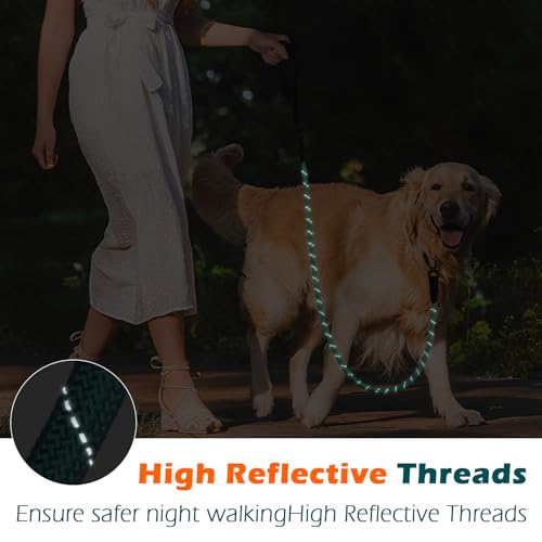 PetBonus Rope Dog Leash, 5 FT Heavy Duty Pet Nylon Leash with Auto Locking Aviation Aluminum Carabiner, Comfortable Padded Handle, Reflective Walking Training Lead for Medium Large Breeds (Turquoise) - color: Turquoise