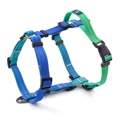Roses&Poetry Dog Harness Small Sized Dog, 6 Point Adjustable Fit No Pull Harness with Handle for Control and Easy Walking, Reflective Pet Halter Harnesses（Bluegreen-S） - color: BlueGreen, size: S