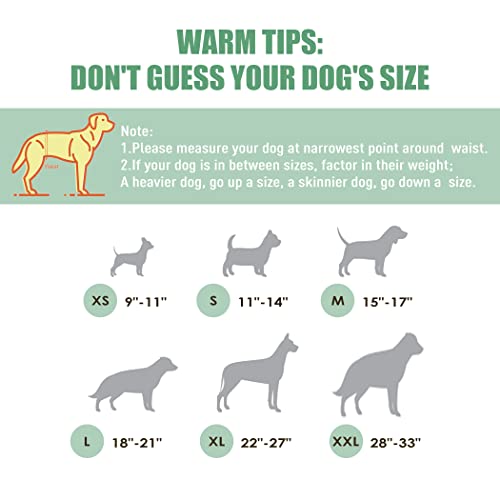 wegreeco Washable Male Dog Diapers (Pack of 3) - Washable Male Dog Belly Wrap (Vast Sky, XS) - color: Vast Sky, size: X-Small (Pack of 3)