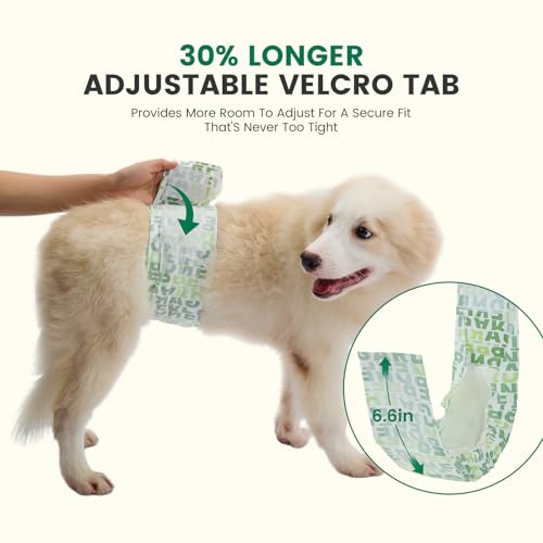 Gardner Pet Male Dog Diapers Disposable 50 Ct, Male Dog Wraps with Wetness Indicator & Flashdry Gel Technology, Dog Diapers Male for Puppy Training, Marking, Incontinence, Travel - Medium - size: M-50ct (16-20" Waist)