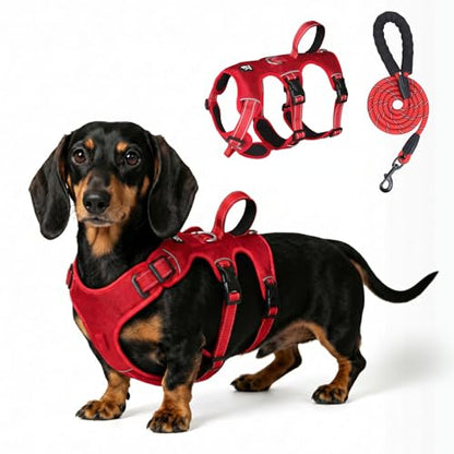 Escape Proof Dog Harness and Leash Set,Soft Padded Full Body Pet Harness, No Pull Reflective Adjustable Dog Vest with Handle, Easy Control Dog Harness for Medium Large Dogs Training Walking Running - color: Red, size: M