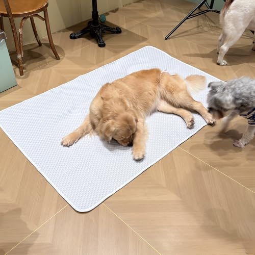 Dog Cooling Mat 60"x40" for Giant Dogs, XL | Q-Max>0.4 Ice-Silk, Waterproof Non-Slip, Machine Washable, Great Danes & Mastiffs, Crate Indoor Outdoor Travel - size: Extra Large 60"x40"