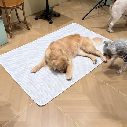 Dog Cooling Mat 60"x40" for Giant Dogs, XL | Q-Max>0.4 Ice-Silk, Waterproof Non-Slip, Machine Washable, Great Danes & Mastiffs, Crate Indoor Outdoor Travel - size: Extra Large 60"x40"