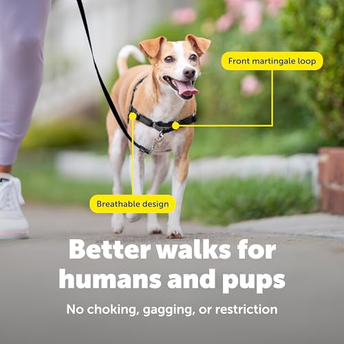 PetSafe Easy Walk No-Pull Dog Harness - Ultimate Harness to Help Stop Pulling - Pull-Free Walks - Take Control & Teach Better Leash Manners - Patented Martingale Loop Design - Royal Blue, Small - color: Royal Blue/Navy Blue, size: Small