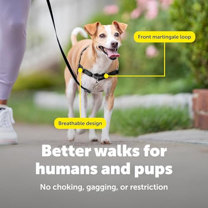 PetSafe Easy Walk No-Pull Dog Harness - Ultimate Harness to Help Stop Pulling - Pull-Free Walks - Take Control & Teach Better Leash Manners - Patented Martingale Loop Design - Royal Blue, Small - color: Royal Blue/Navy Blue, size: Small