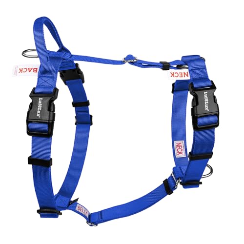 Non Restrictive No Pull Dog Harness, Small, Blue | Neck Buckle Design, Lightweight Easy Walk Freedom, Keep Balance, Sewn-in Instructions Labels - color: Blue, size: S