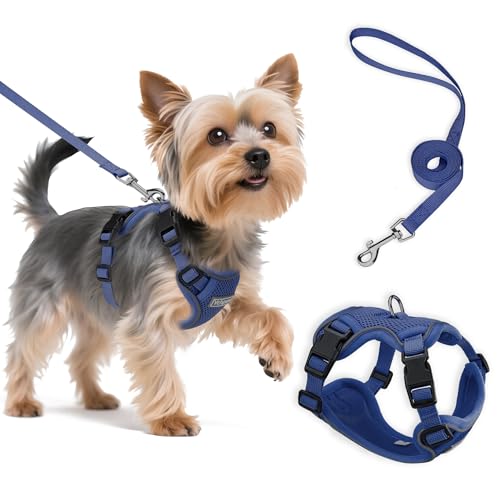Small Dog Harness and Leash Set, Reflective Soft Breathable Mesh Vest, 3 Buckles, Adjustable Neck and Chest,Step in Dog Harness for Walking, Running, Training, Navy Blue, XS - color: Navy Blue, size: X-Small