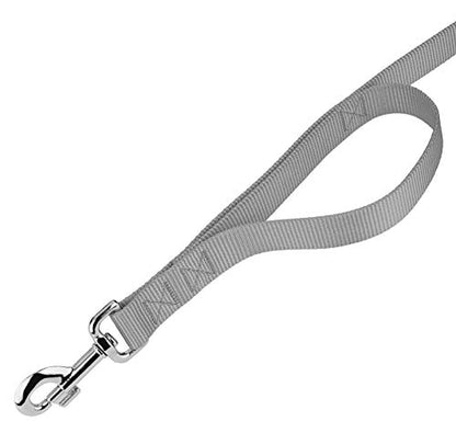Country Brook Petz - Vibrant 17 Color Selection - Heavyduty Doublehandle Nylon Leash (6 Foot, 3/4 Inch Wide, Silver) - color: Silver