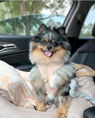 Premium No-Pull Dog Harness Soft Neoprene & Breathable Mesh Vest with Front & Back Clip D-Rings Adjustable Lightweight Walking Harness for Puppies, Small & Medium Dogs (Rose Beige, XXS) - color: Rose Beige, size: XXS: Neck=9.1-13'', Chest=10.6-14.6''