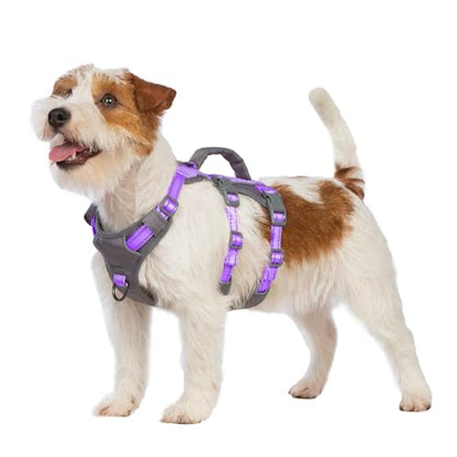 Huntboo Reflective Dog Harness with Handle, Escape Proof, No Slip,Breathable, Lightweight,Adjustable Lift Harness for Small,Medium,and Large Dogs Walking, Training,and Running Gear(Lavender Purple,XS) - color: Lavender Purple, size: X-Small(Pack of 1)