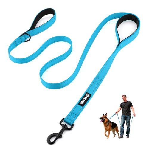 Heavy Duty Double Handle Dog Leash 6 ft Long for Total Control, Padded 2 Handle, Reflective Training Lead for Medium Large Dogs (Sky Blue, 6 FT) - color: Sky Blue
