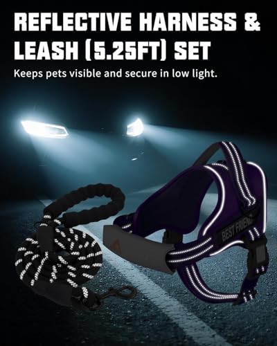 AUROTH Dog Harness and Leash Set, Soft Padded Service Dog Vest with 5.25FT Dog Leash, No Choke, Easy On Pet Vest, Adjustable Reflective No Pull Pet Vest Medium Sized Dog, Easy Walking and Training - color: Purple, size: M(Neck:17.7"-24",Chest:23.6"-31.9")
