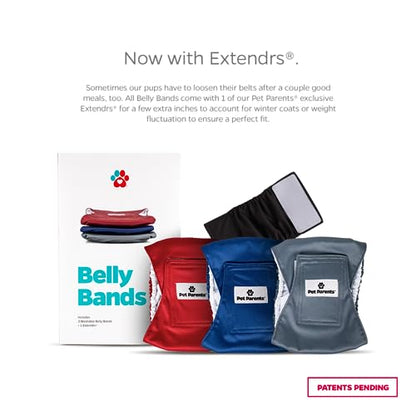 Pet Parents® Washable Belly Bands for Male Dogs (3pack) + Extendrs® of Durable Dog Diapers Male, Premium Male Dog Diapers & Dog Wraps (Small, Kingsmen) - color: Kingsmen, size: Small (13-16")