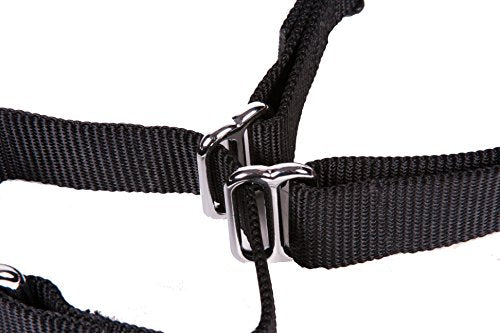 GOGO Pet Products 1-Inch Martingale Dog Collar, Large, Black - color: Black, size: Large (1" web width)