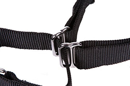 GOGO Pet Products 1-Inch Martingale Dog Collar, Large, Black - color: Black, size: Large (1" web width)