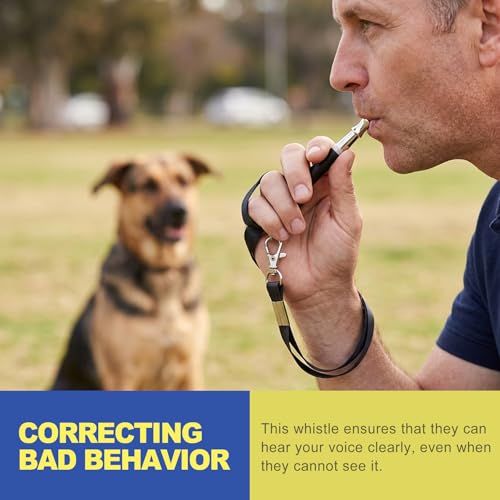 2 Pack Ultrasonic Dog Whistle to Stop Barking & Call Your Dog, Adjustable Silent Frequency for Training, Recall & Deaf Aid, Deterrent for Neighbors Dog, Stainless Steel with Lanyard