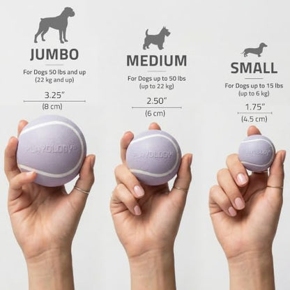 Playology Dog Toys | Squeaky Chew Ball for Dogs | Lamb Scented Medium Dog Ball | Bouncy Floating Chew Toys for Fetch - size: Medium, style: Lamb