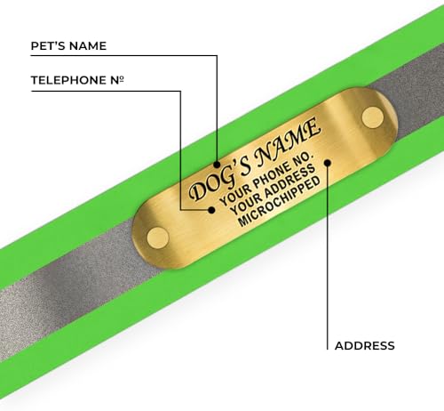 Regal Dog Products Medium Green Reflective Dog Collar with Custom Engraved Name Plate and Heavy Duty Center Ring | Waterproof Biothane Personalized Dog Collars - Other Sizes for Small & Large Dogs - color: Green, size: Medium