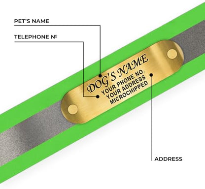 Regal Dog Products Medium Green Reflective Dog Collar with Custom Engraved Name Plate and Heavy Duty Center Ring | Waterproof Biothane Personalized Dog Collars - Other Sizes for Small & Large Dogs - color: Green, size: Medium