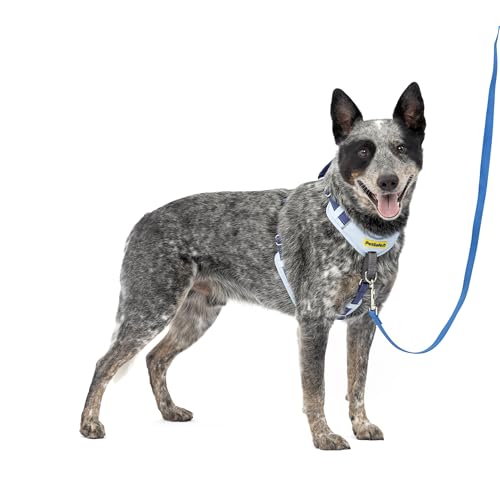 PetSafe Easy Walk Comfort No-Pull Dog Harness Full-Body Padding - Better Walks on the First Use - 5 Points of Adjustment Medium, Blue - color: Blue, size: Medium