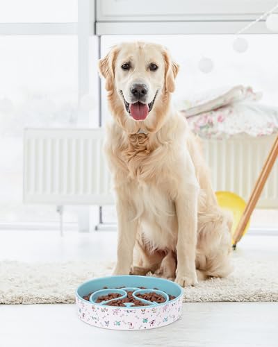 Slow Feeder Dog Bowl, Ceramic Dog Bowls 1.5 Cup Puzzle Feeder - Stops Fast Eating, Prevents Bloat, Choking & Black Chin for Medium/Large Dogs, Blue - color: Blue