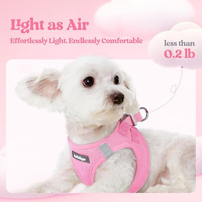 rabbitgoo Dog Harness Small Sized and Leash Set, Step in Soft Light Puppy Vest, Breathable Mesh Pet Harness, Reflective for Safe Easy Walking, Light Pink XXS - color: Light Pink, size: Xxs (chest: 12.4 - 14.2")