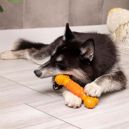 SPOT Bam-Bones Dental Bone - Made with Bamboo Fiber and a Massaging Rubber Center, Durable Oral Care Dog Chew for Light Chewers & Teething Puppies Under 40lbs, 7in, Allergen Free Peanut Butter Flavor - size: Large