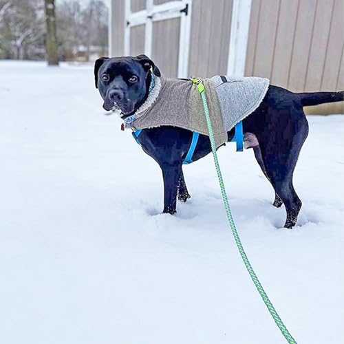 10 Foot Reflective Dog Leash Strong Nylon Rope Braided Heavy Duty for Large Medium Small Dogs Walking Training Leads (Green, 1/2") - color: Green, size: 10ft * 1/2"