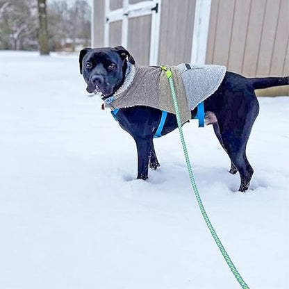 10 Foot Reflective Dog Leash Strong Nylon Rope Braided Heavy Duty for Large Medium Small Dogs Walking Training Leads (Green, 1/2") - color: Green, size: 10ft * 1/2"
