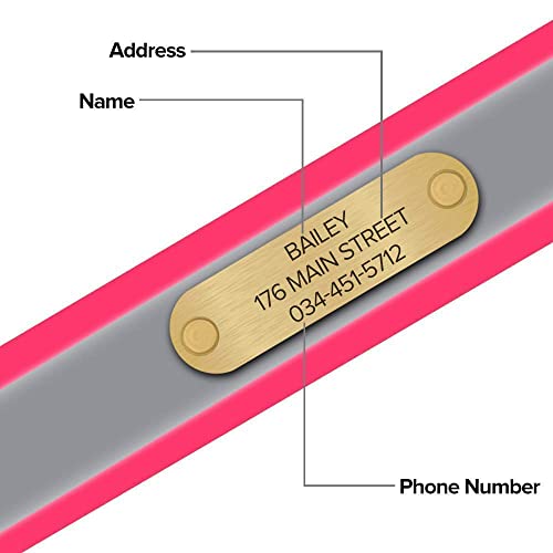 Regal Dog Products Medium Pink Reflective Dog Collar with Custom Engraved Name Plate and Heavy Duty Center Ring | Waterproof Biothane Personalized Dog Collars - Other Sizes for Small & Large Dogs - color: Pink, size: Medium