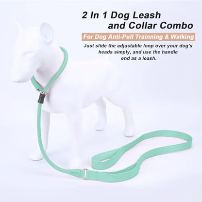 Slip Lead Dog Leash, Dog Training Leash with Double Handle, Soft Leather Slip Leash and Collar, Heavy Duty Nylon Dog Lead, No Pull Walking for Medium Large Small Dogs 6ft Mint Green - color: Mint Green, size: 6ft