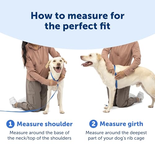 PetSafe Easy Walk Comfort No-Pull Dog Harness Padding - Better Walks on 1st Use - 5 Points of Adjustment XS, Green Gingham - color: Gingham, size: Extra Small