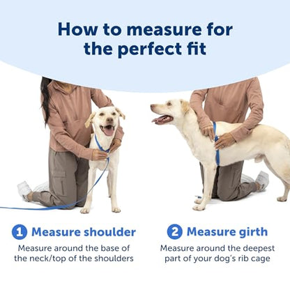 PetSafe Easy Walk Comfort No-Pull Dog Harness Padding - Better Walks on 1st Use - 5 Points of Adjustment XS, Green Gingham - color: Gingham, size: Extra Small