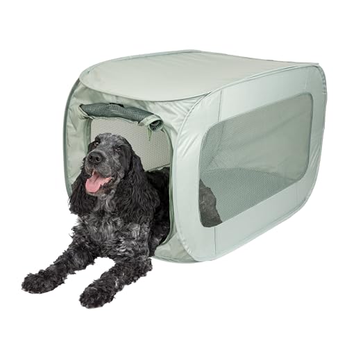 SportPet Designs Soft Sided Pop-Open Kennels, Light Green - color: Light Green