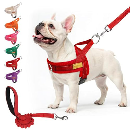 BEAUTYZOO No Pull Dog Harness Medium Sized Dog, Breathable Mesh Padded Dog Harness and Leash Set, Adjustable Reflective Escape Proof Dog Vest Harnessss Quick Fit for Training Walking, Red M - color: Red, size: M: Chest 21"-26.7"