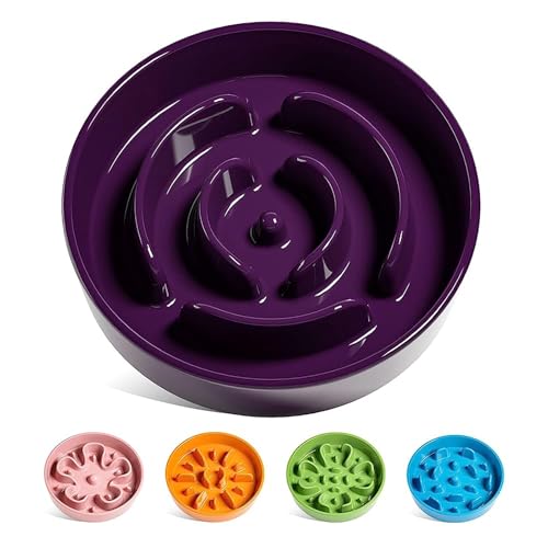 LE TAUCI Slow Feeder Dog Bowls Ceramic, 3 Cups Slow Feeding Dog Bowl Medium Large Breed, Pet Bowl for Fast Eaters, Puzzle Pet Dishes, Maze Purple - color: Maze Purple, size: L-3 Cups