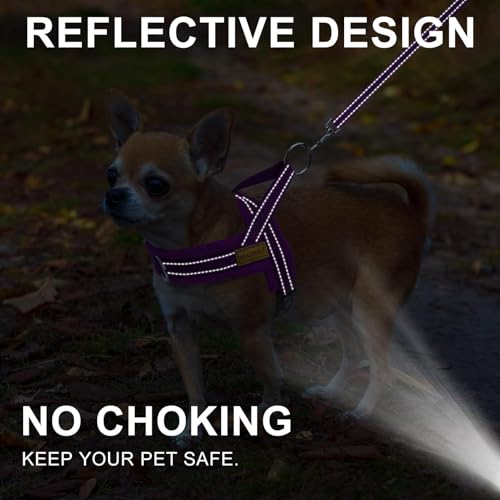 BEAUTYZOO No Pull Dog Harness Medium Sized Dog, Breathable Mesh Padded Dog Harness and Leash Set, Adjustable Reflective Escape Proof Dog Vest Harnessss Quick Fit for Training Walking, Purple M - color: Purple, size: M: Chest 21"-26.7"