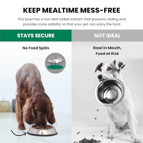 Iconic Pet 4 Cup/32 Oz Heavy Weight Non-Skid Stainless Steel High Back Pet Food/Water Bowls with Removable Anti Skid Rubber Ring - Dog/Cat Feeding Bowl in Unique Design, Dishwasher Safe - size: 4 Cup/32 oz.