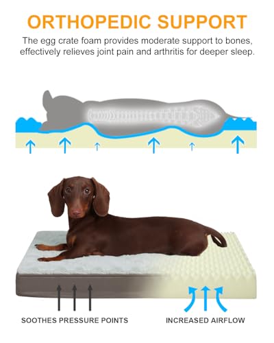 KSIIA Orthopedic Dog Bed, Egg Crate Foam Pet Mat with Removable Cover, Plush Waterproof & Washable Small Dogs Bed, 17x12 Inch, Gray - color: Light Grey, size: 17.0"L x 12.0"W x 2.5"Th