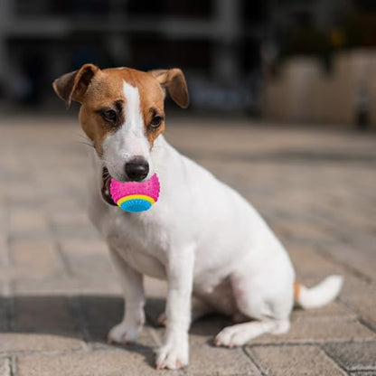 SPOT Sensory Ball for Soft Chewers - Stimulates All 5 Senses, Bell & Squeaker Sounds, Raised Nubs Clean Teeth, High Contrast Fetch Toy, Beef Scented, Durable TPR Rubber Ball, 2.5-inch - size: 2.5 inch (Pack of 1)