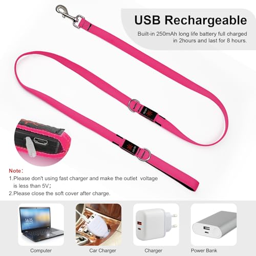 Colaseeme LED Light Up Dog Leash, USB Rechargeable (6FT,Pink) | Glow in dark, reflective, USB-C rechargeable, bright LED for night safety, fits medium to large dogs - color: Pink, size: 6FT